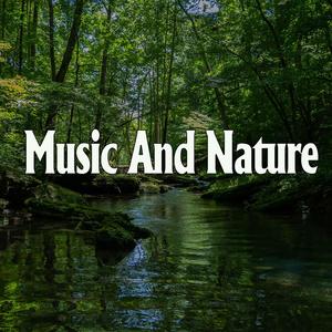 日韩美女性爱xx视频
